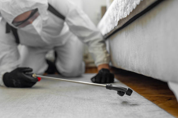Professional Bed Bug Control technician working in Melville, RI
